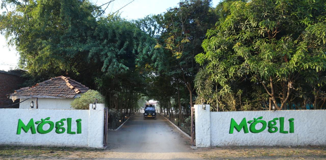 Mogli Resort Канга Екстер'єр фото